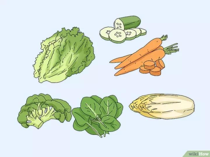 如何喂养牡丹鹦鹉