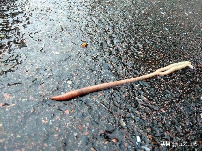 最神奇的头发图片,最美变色头发女孩照片大全