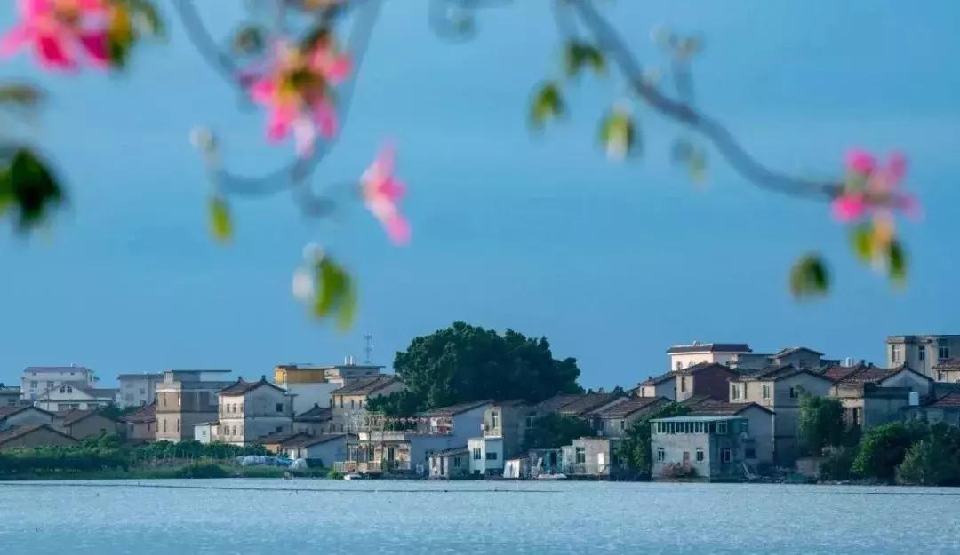 不只做红木、开金店!莆田人还会“滚雪球”?