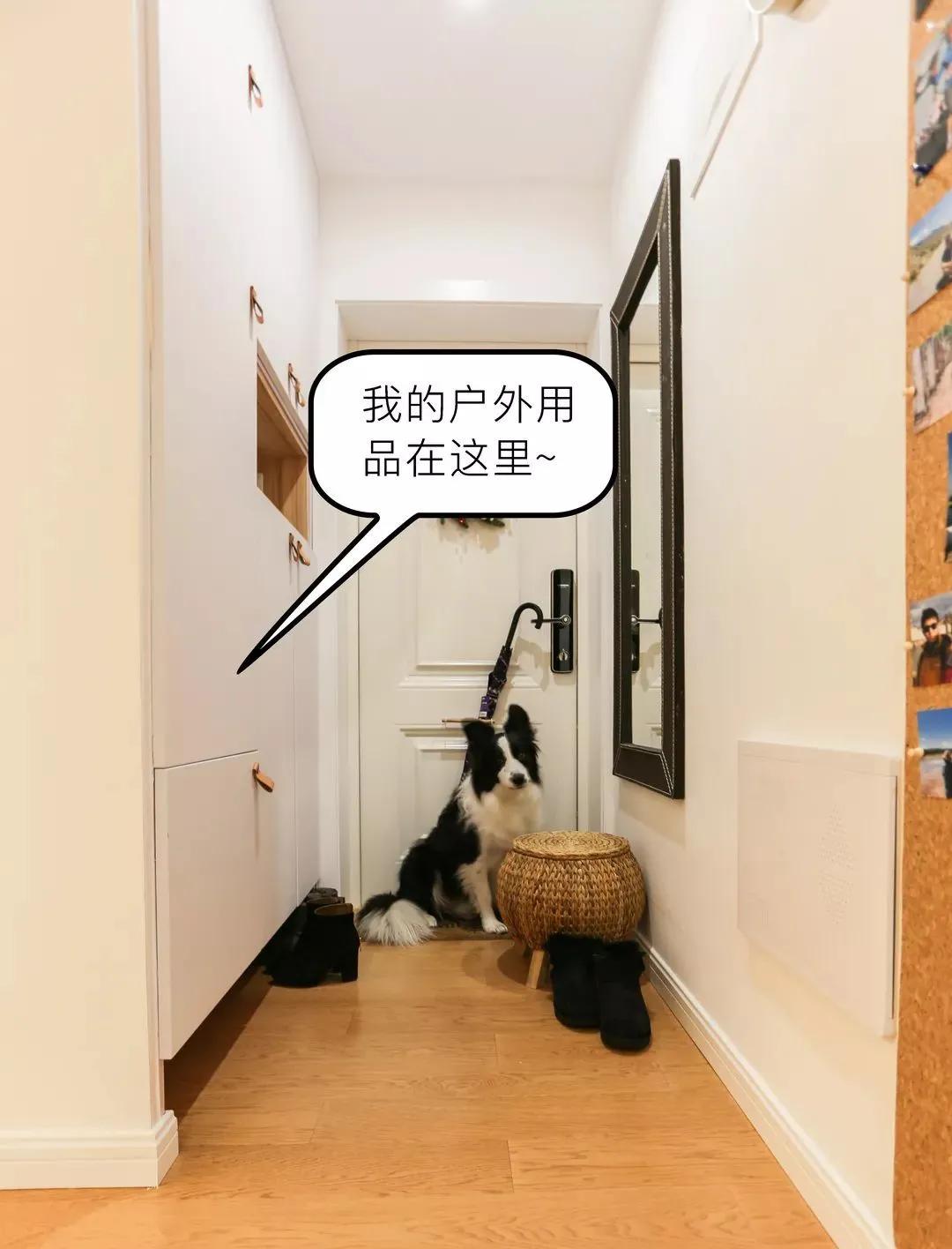 家里只有贵到吐血的“网红风”，简直就是悲剧