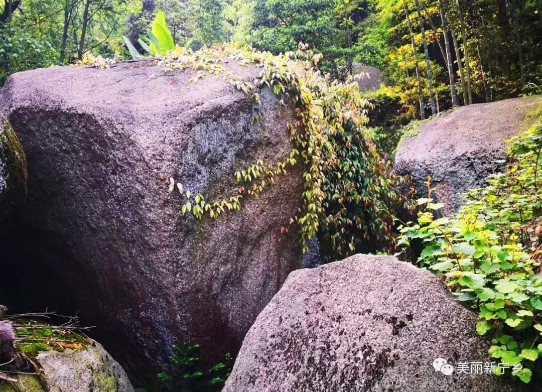 宁乡东雾山旅游景区,宁乡东澧山图片