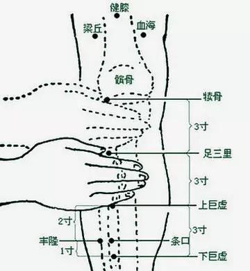 穴位就是中药12个经典养生穴,穴位是中药经络是药方