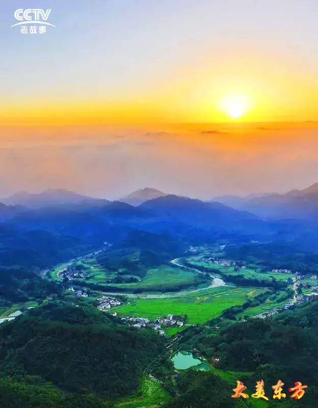 柃蜜小镇景区,柃蜜小镇风景