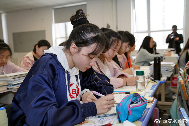 西安丹青易考美术学校,西安丹青艺术学校怎么样