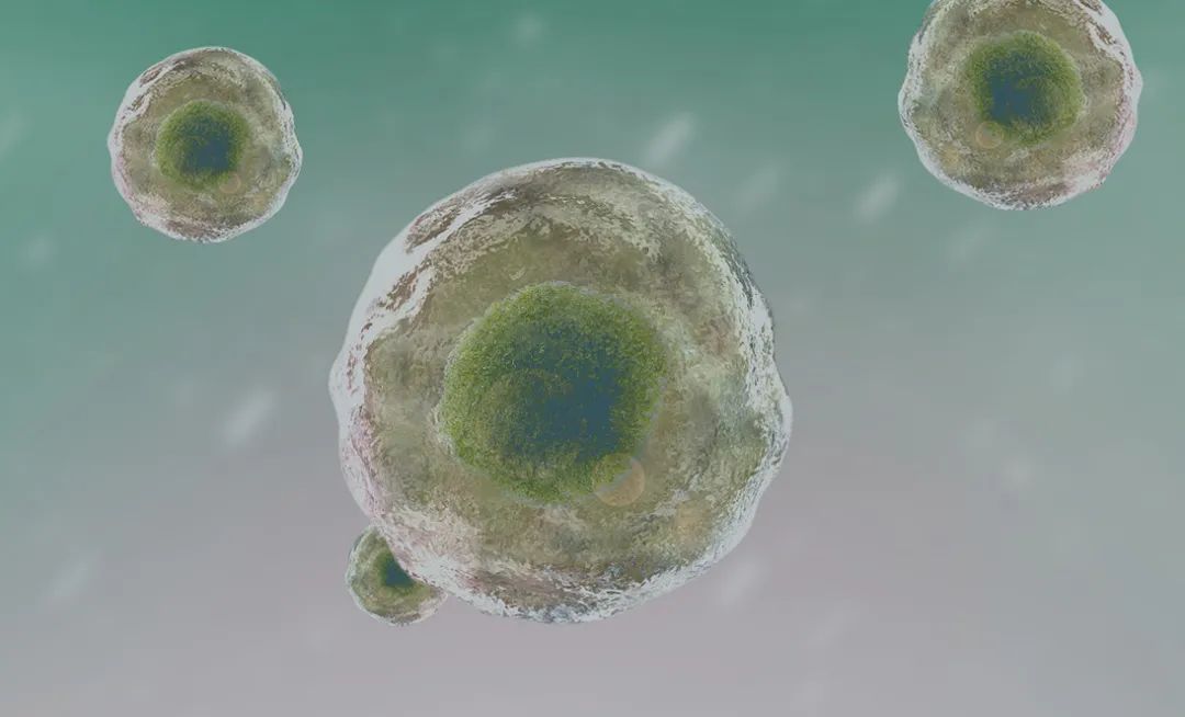 杨天真糖尿病打针,杨天真为何得糖尿病