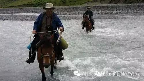 玛纳斯探奇之旅,新疆探秘伊犁