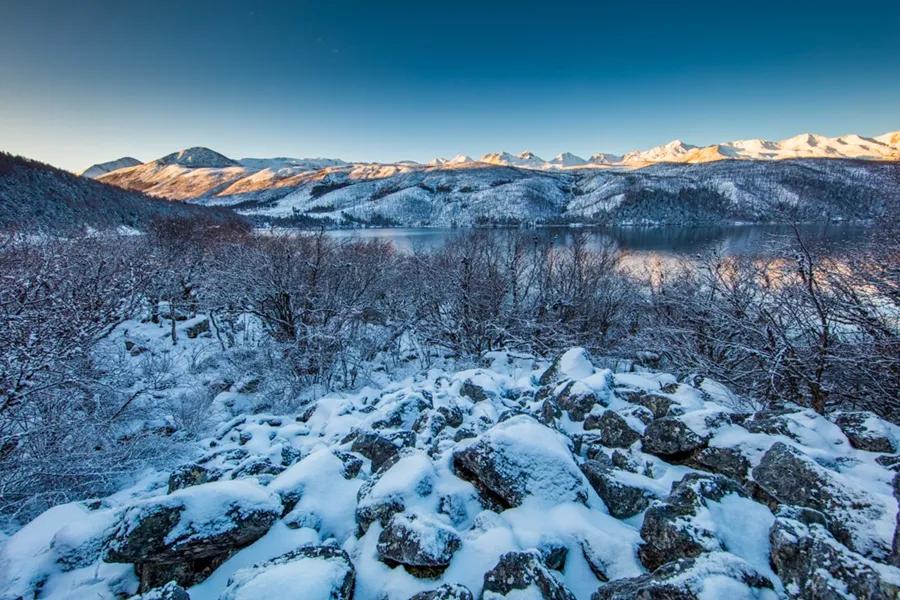 关于扩散周知的通告,扩散周知最新动态