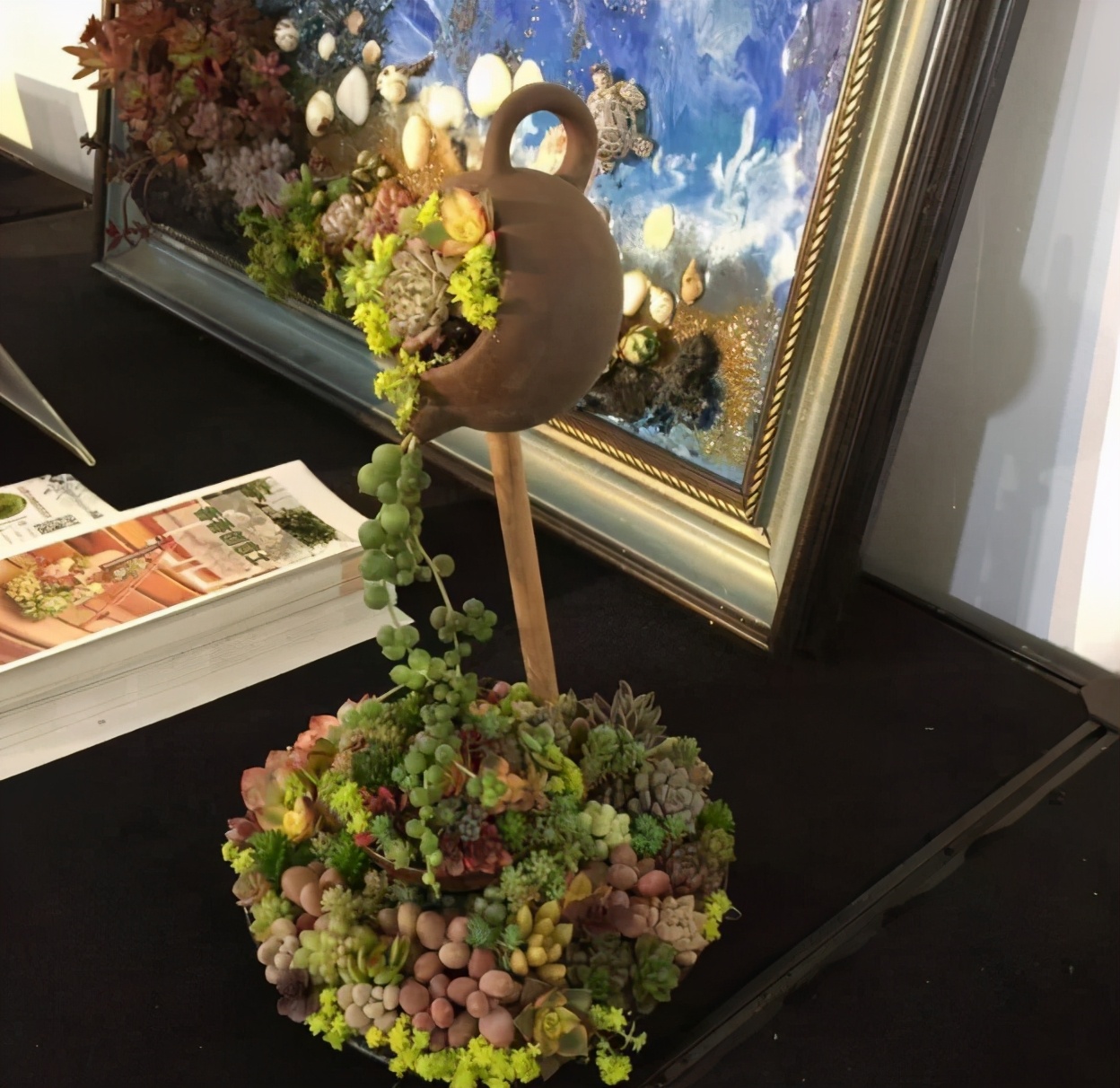 多肉容易养成老桩都有哪些品种,多肉老桩欣赏最新