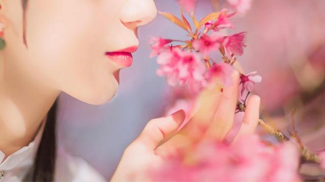 真正的顶级女神林徽因,林徽因的独特的女人魅力