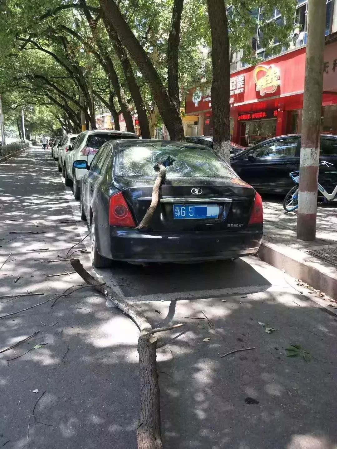 建议收藏电话号码,收藏的电话号码有什么用