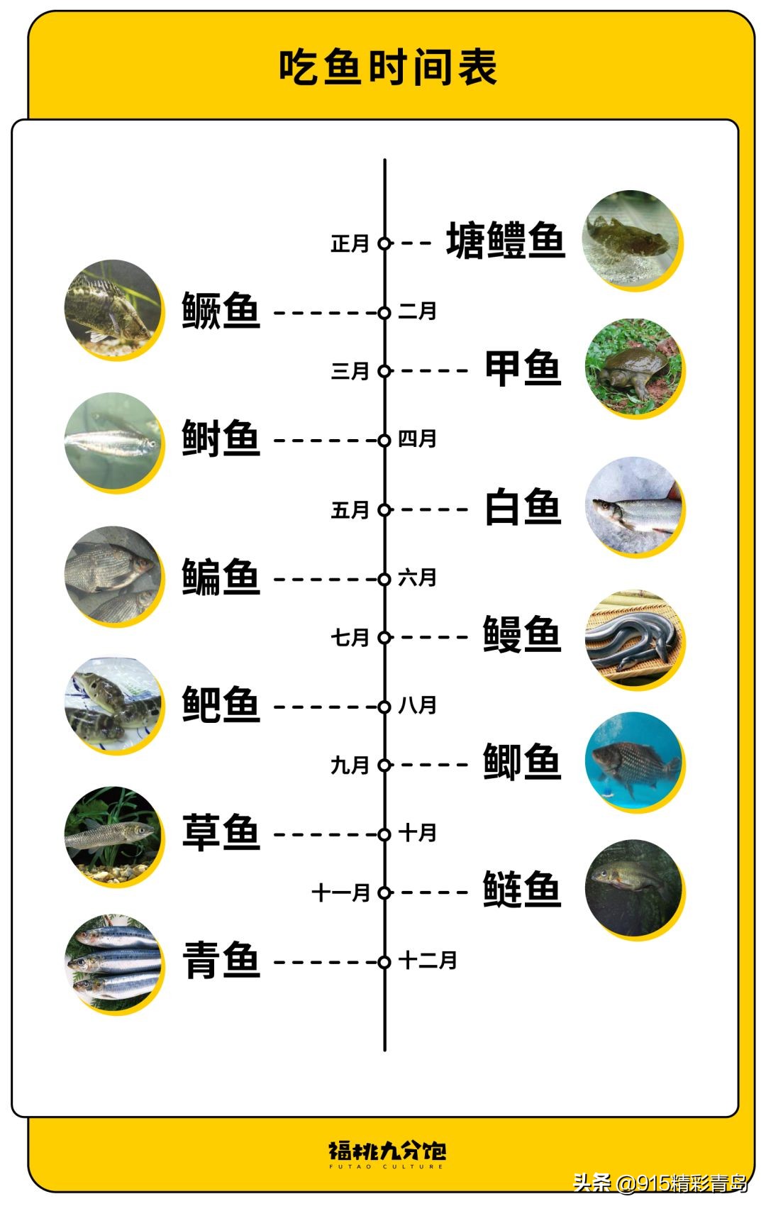 在苏州吃全国各地的美食,苏州美食好精致