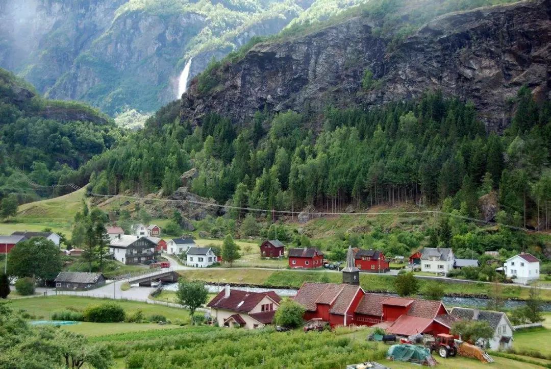 农村搞养殖的成功秘诀,未来五年适合农村生态养殖的项目