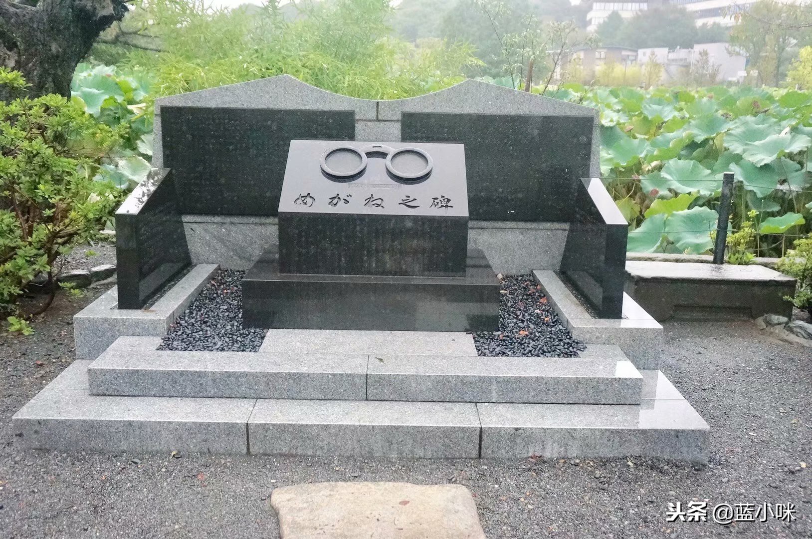 日本自由行7天看富士山,东京自由行攻略东京富士山自由行