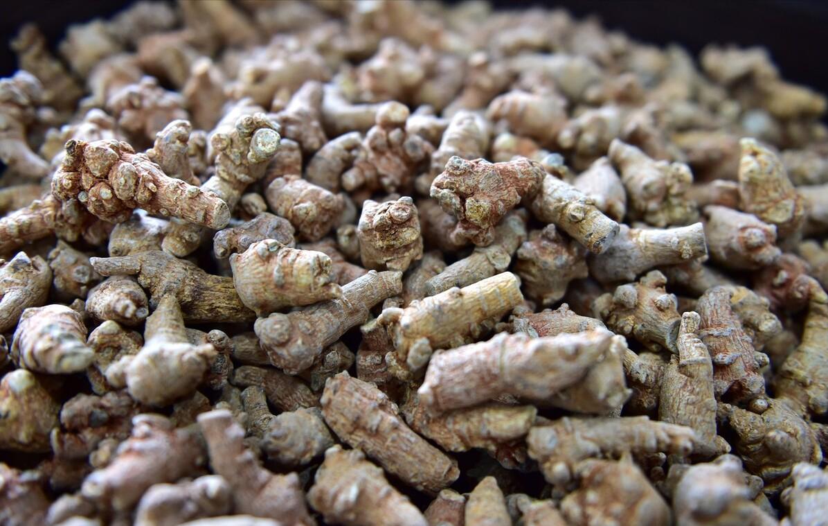 云南有什么特产可以带回家,云南补品十大特产