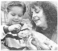 爬宠怎么安排饲养全部过程,饲养任何爬宠都需要注意这几点