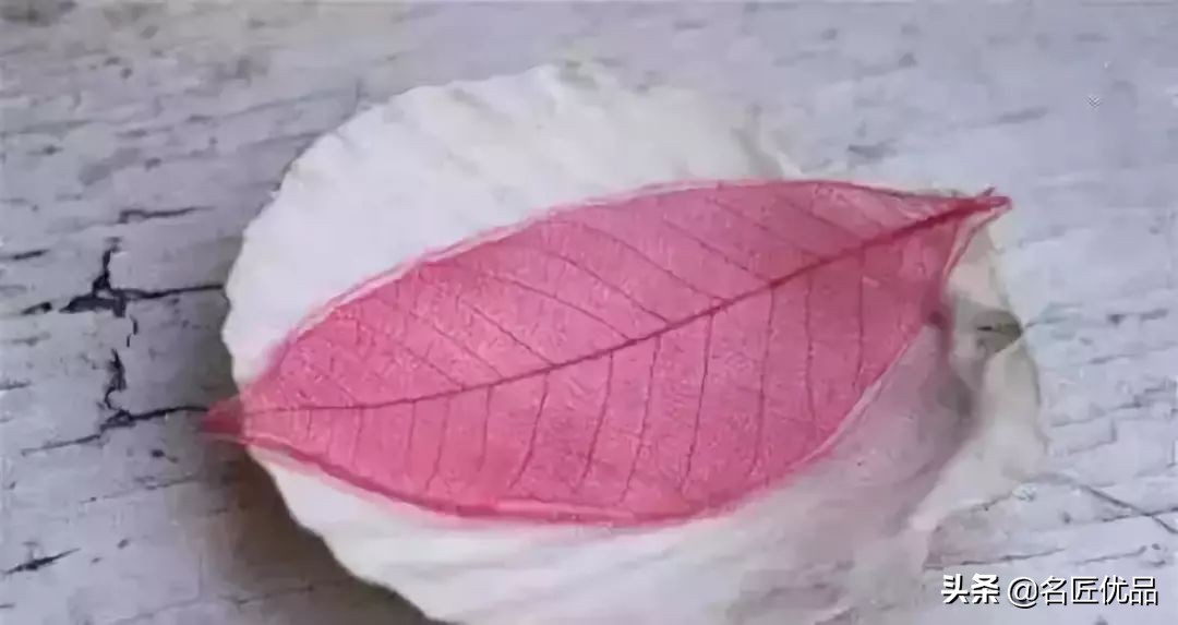 超惊艳的树叶手工,有趣的树叶手工制作