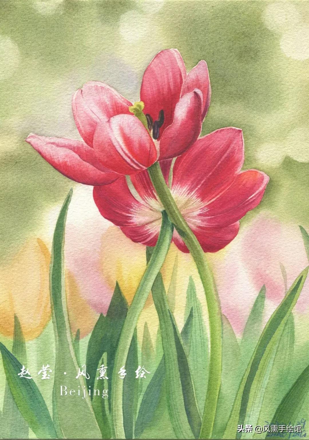 怎么用水彩笔画郁金香教程,粉色水彩郁金香怎么画图片