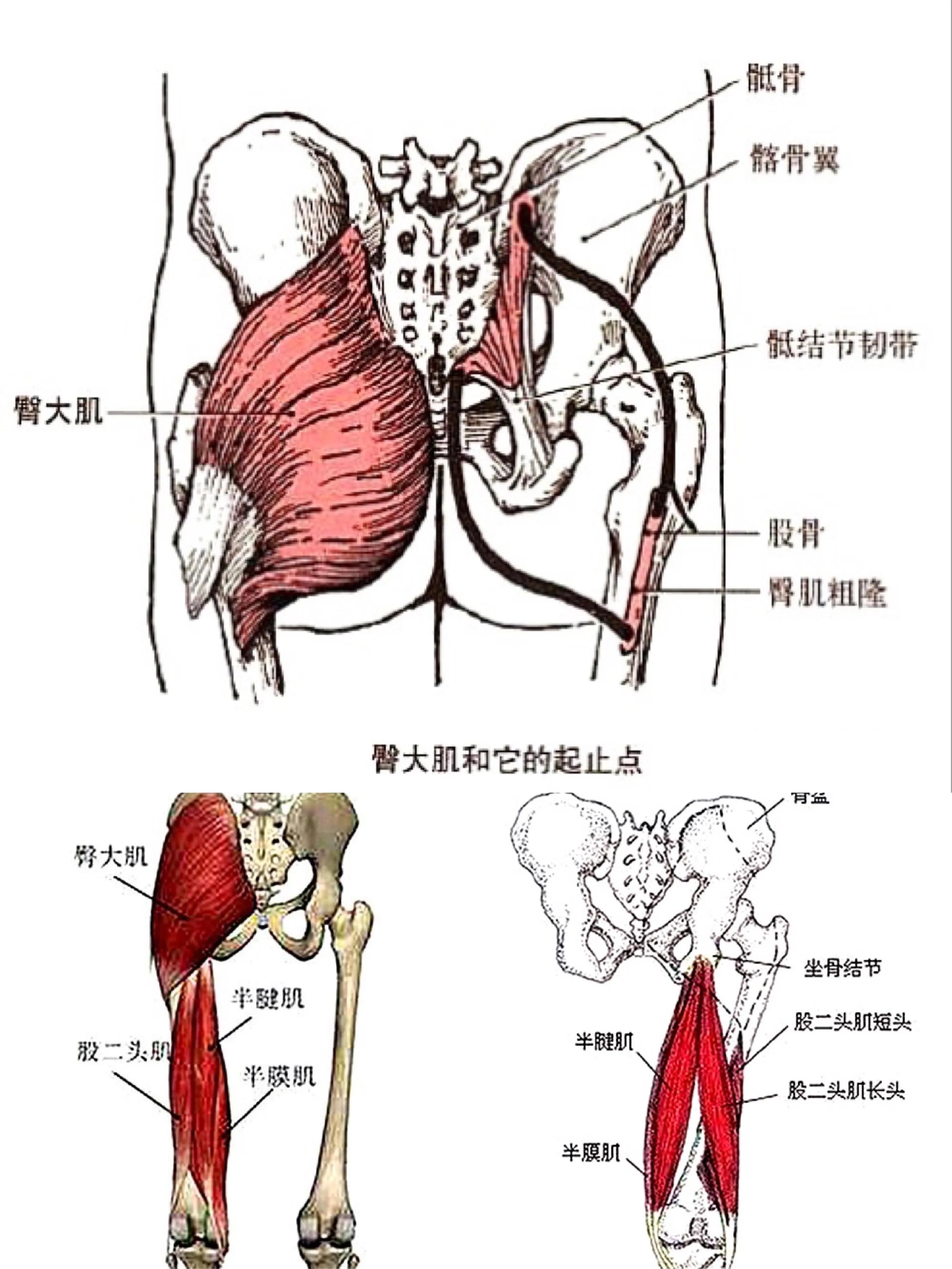 瑜伽翘臀训练视频60分钟,瑜伽练臀视频教程
