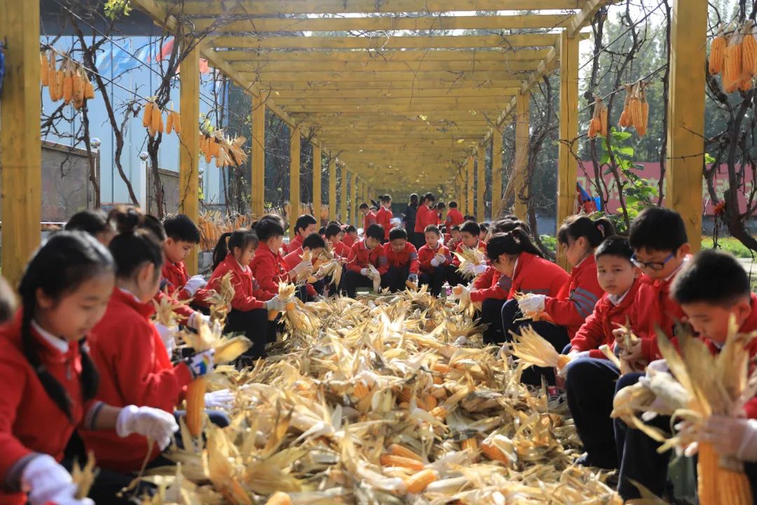 课后服务针对义务教育阶段吗,课后服务对教育教学的改变