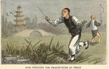 童年捉蜻蜓,儿时捉蜻蜓的视频