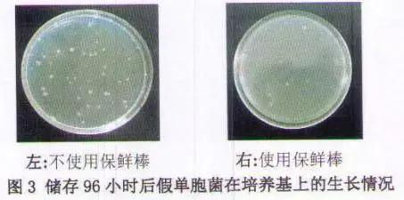 冰箱除臭保鲜神器,冰箱抗菌除臭保鲜棒