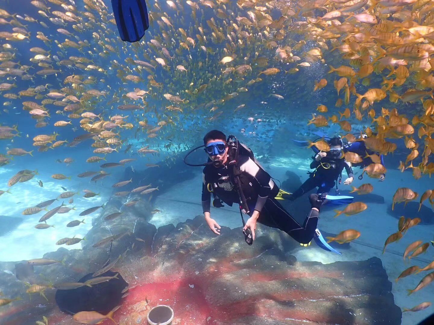 在三亚潜水需要带什么,在三亚玩潜水哪里好玩