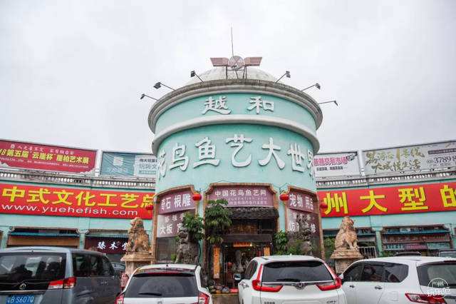 再见了广州,再见了广州的视频