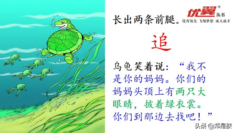 二年级小蝌蚪找妈妈诵读,二年级语文第1课小蝌蚪找妈妈