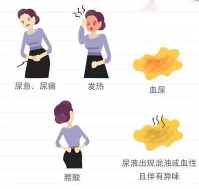 泌尿系反复感染与妇科有关吗,老年泌尿系感染老不好怎么办