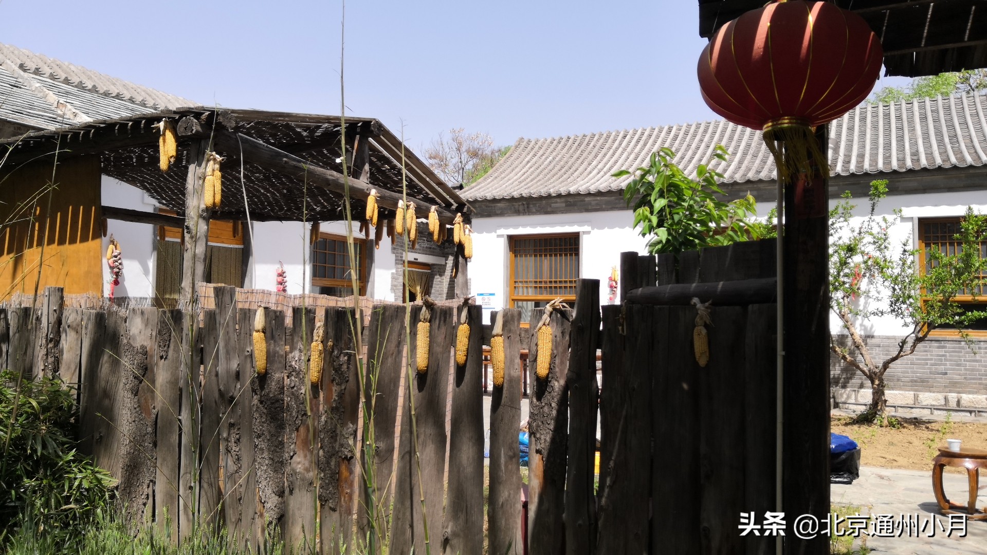 北京的蟹岛,北京最大的蟹岛