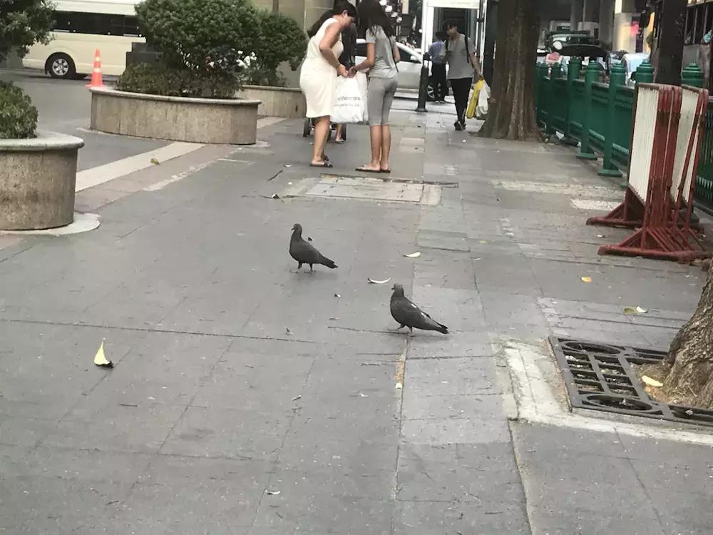 我的泰国吃住行攻略,住泰国的感受和体验