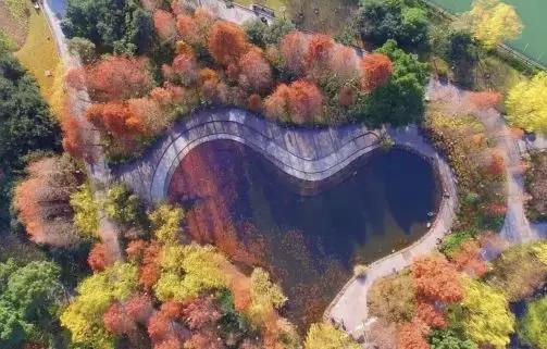 江干人千万别走远，五一不去这些地方亏大了！