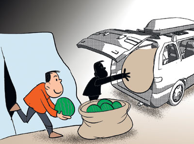 民间小调偷瓜全集,故事真假偷瓜贼