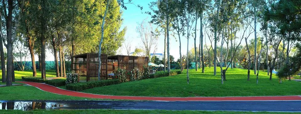 世界上最危险的跑道,世界上最舒服的跑道