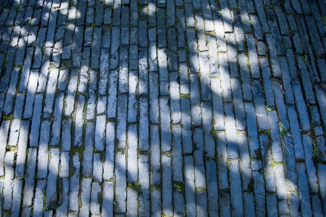 十二句最哲理诗词,45首哲理诗词句句精辟饱含哲理