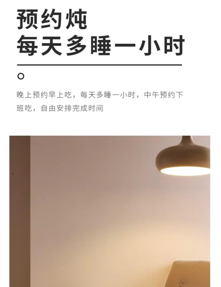 高端健康养生电锅,电炖锅养生