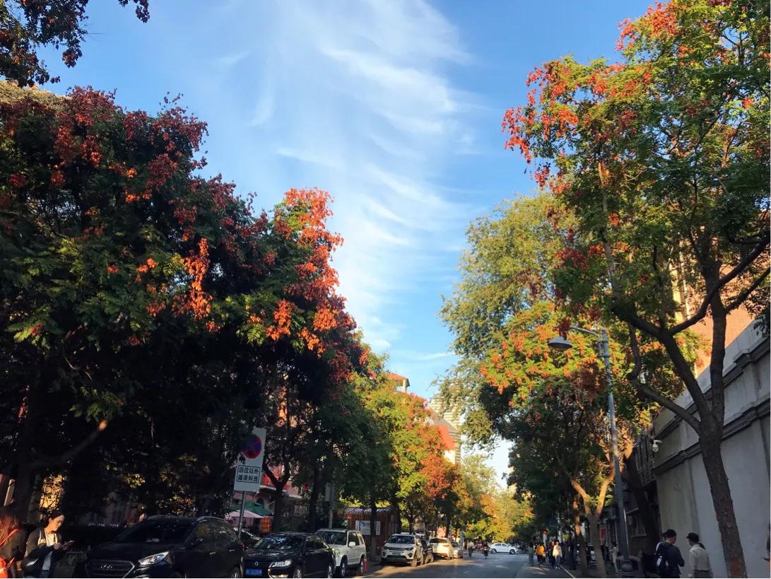 天津好玩儿的自然风景区,天津究竟有什么好玩的