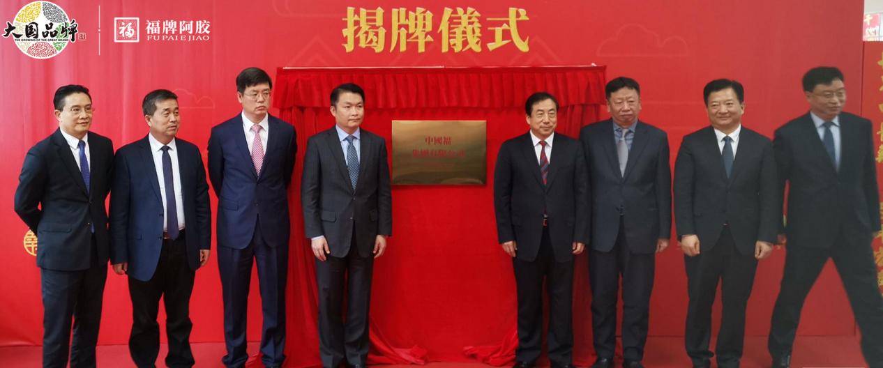 福胶集团企业愿景,2019福胶集团