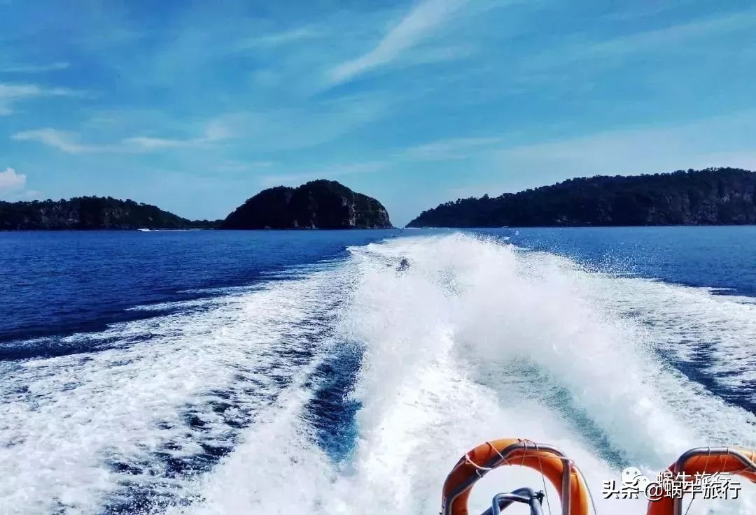 巨蜥像退休大爷休闲漫步；满海的活珊瑚、海葵…国家公园开岛啦