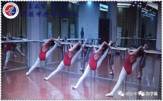 绵阳中学实验学校补习班,绵阳中学实验学校怎么报名