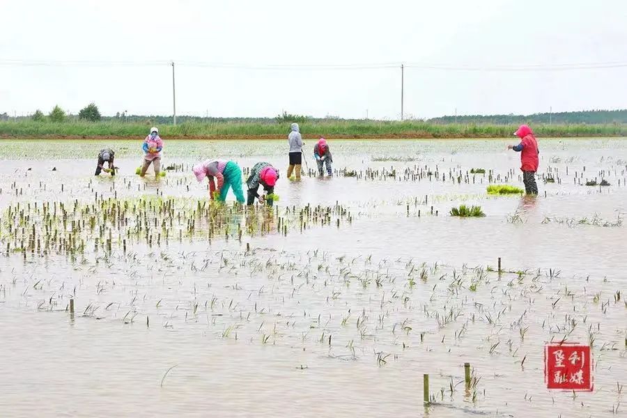 山东东营位置,这就是东营