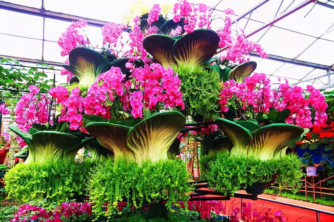 休闲农业公司盈利模式研究现状,生态农业创业项目分析