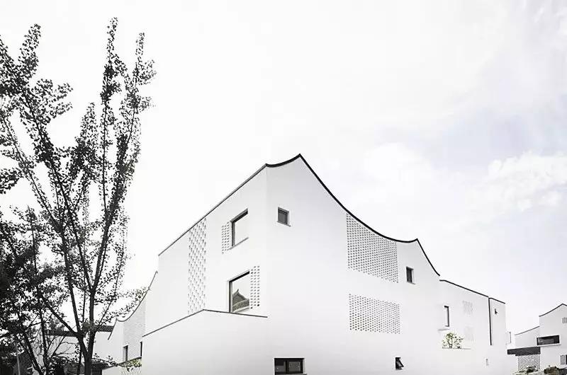 乡村振兴特色文化案例分享,关于乡村振兴比较有创意的点子