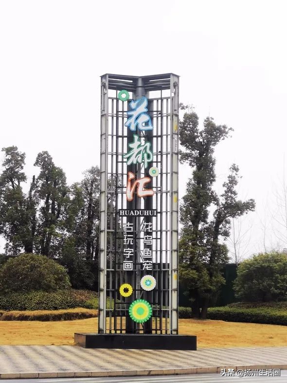 2元花盆批发清仓,2元花卉批发市场