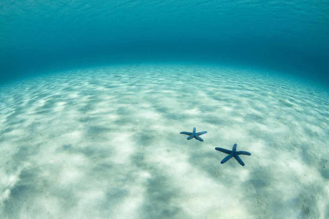缇庡浘娆ｈ祻鍚儏鑴夎剦,缇庡浘ai娣峰壀