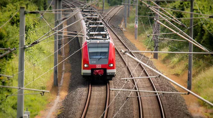 所有人!上海这些东西统统免费,每一个都与你息息相关!