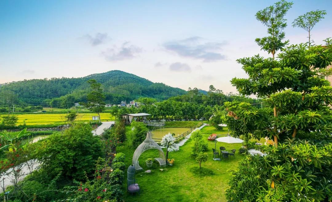 广州周边游增城民宿,广州增城旅游民宿推荐