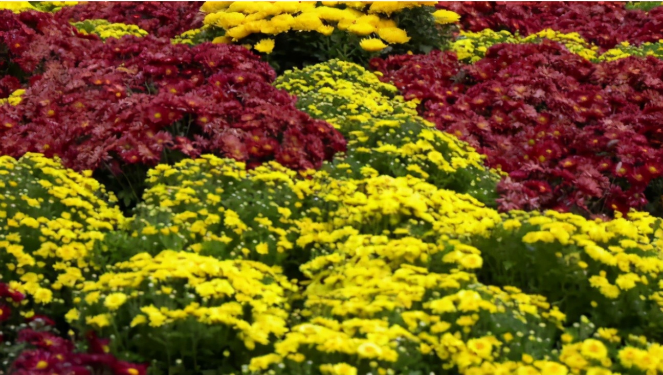 游遍中国县城,游遍中国