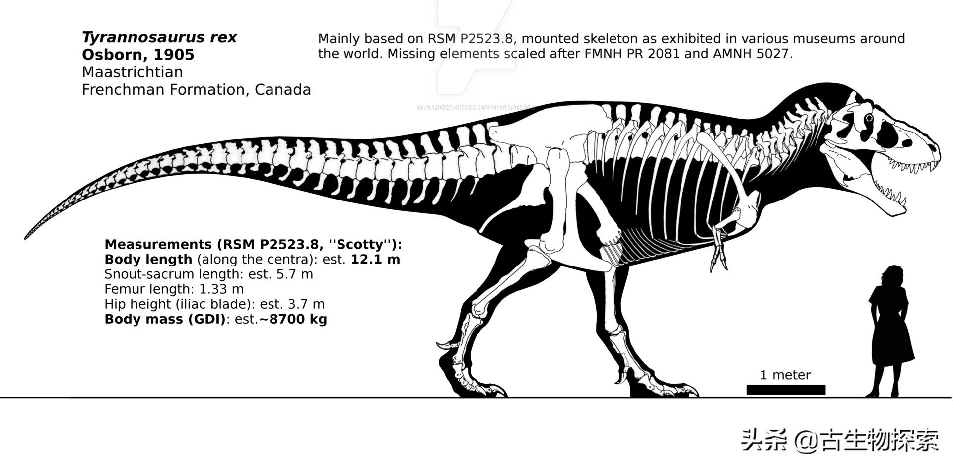 古生物学家恐龙化石霸王龙,中国发现霸王龙化石