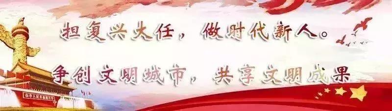 泌尿外科吴登龙主任,同济医院吴登龙简历